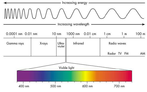 A diagram of the visible light spectrum
