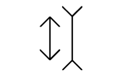 MULLER-LYER illusion